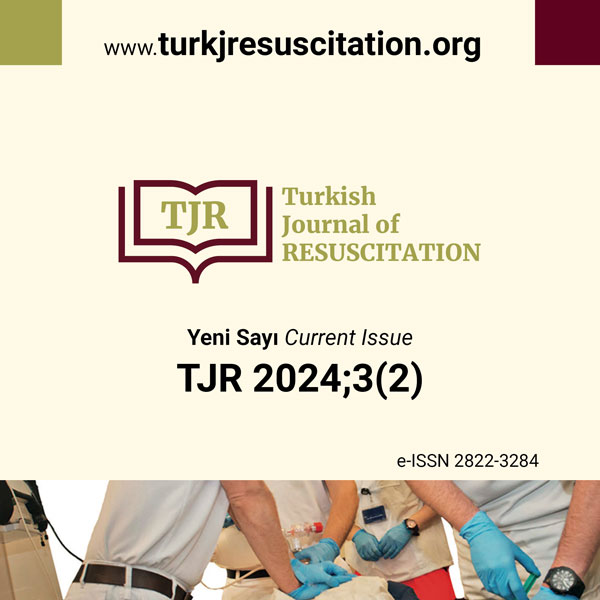 son sayi 2024